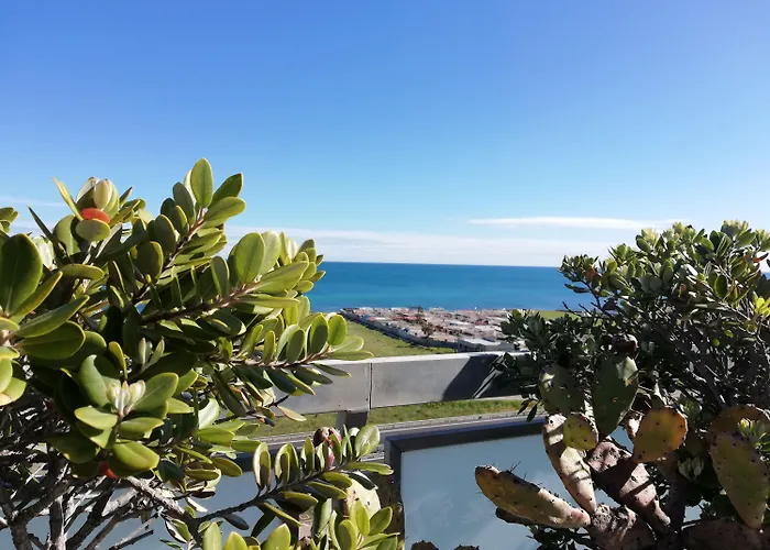 Barion & Congressi Hotel